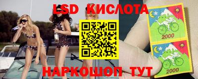 a pvp Новодвинск