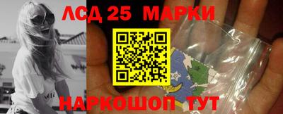 a pvp Новодвинск