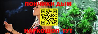 дживик Новозыбков