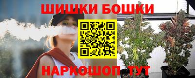 a pvp Новодвинск