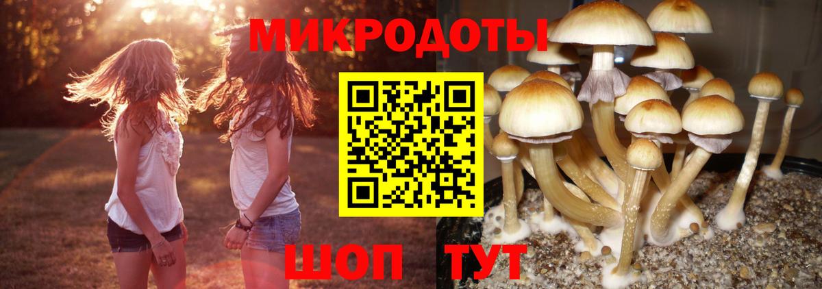 Псилоцибиновые грибы прущие грибы  Вход с VPN  Галлюциногенные грибы GOLDEN TEACHER  Сорочинск 